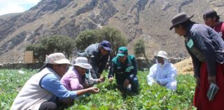 Gobierno aprueba el Sello de Buenas Prácticas Agrícolas para fortalecer la inocuidad alimentaria Gobierno aprueba el Sello de Buenas Prácticas Agrícolas para fortalecer la inocuidad alimentaria