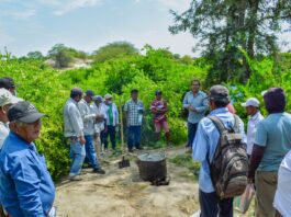 Piura: ejecutan jornadas de campo para mejorar la productividad agrícola y pecuaria Gobierno Regional Piura ejecuta jornadas de campo para mejorar la productividad agrícola y pecuaria