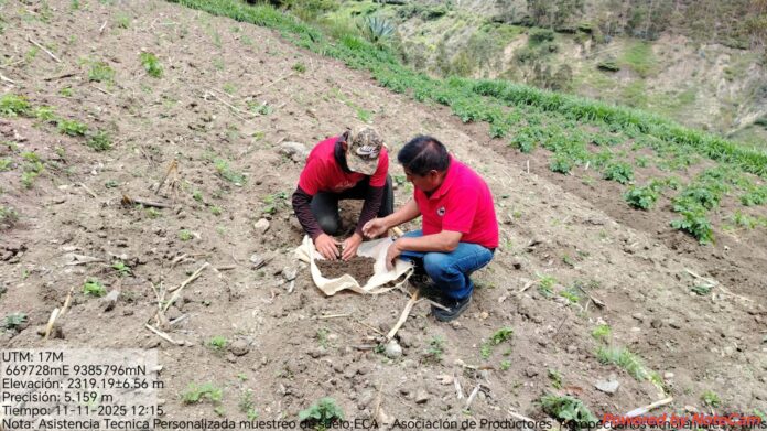 DRAP ejecuta muestreo de suelos para optimizar cultivos en Succhurán
