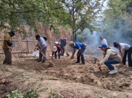 Piura: ejecutan intervención técnica para mejorar áreas agrícolas en Monte Verde Piura: ejecutan intervención técnica para mejorar áreas agrícolas en Monte Verde