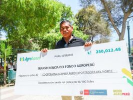 Pequeños agricultores de Piura reciben apoyo financiero para mejorar su producción Pequeños agricultores de Piura reciben apoyo financiero para mejorar su producción