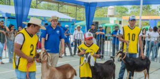 Productores caprinos concluyen con éxito la VI Feria Regional en Piura Productores caprinos concluyen con éxito la VI Feria Regional en Piura