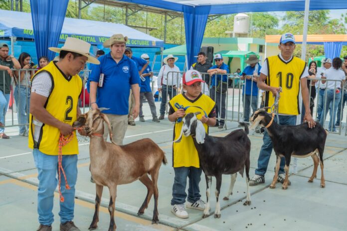 Productores caprinos concluyen con éxito la VI Feria Regional en Piura
