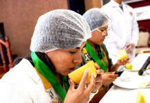 Producción de quesos artesanales del norte sobresale en concurso macrorregional 2025 Producción de quesos artesanales del norte sobresale en concurso macrorregional 2025