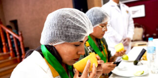 Producción de quesos artesanales del norte sobresale en concurso macrorregional 2025 Producción de quesos artesanales del norte sobresale en concurso macrorregional 2025