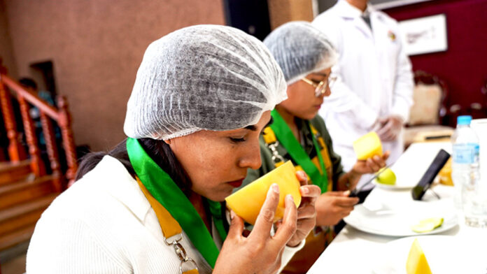 Producción de quesos artesanales del norte sobresale en concurso macrorregional 2025