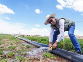 Puno: Proyectos de riego tecnificado fortalecen el uso eficiente del agua en Juliaca y Lampa Proyectos de riego tecnificado fortalecen el uso eficiente del agua en Juliaca y Lampa