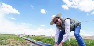 Puno: Proyectos de riego tecnificado fortalecen el uso eficiente del agua en Juliaca y Lampa Proyectos de riego tecnificado fortalecen el uso eficiente del agua en Juliaca y Lampa