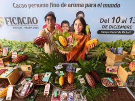 MYPE cacaoteras podrán participar en la Rueda de Negocios de FICACAO 2025: así puedes participar MYPE cacaoteras podrán participar en la Rueda de Negocios de FICACAO 2025: así puedes participar