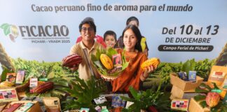 MYPE cacaoteras podrán participar en la Rueda de Negocios de FICACAO 2025: así puedes participar MYPE cacaoteras podrán participar en la Rueda de Negocios de FICACAO 2025: así puedes participar
