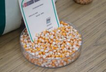 Perú liderará la reunión internacional sobre biodiversidad agrícola y seguridad alimentaria Perú liderará la reunión internacional sobre biodiversidad agrícola del TIRFAA