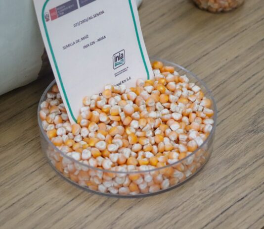 Perú liderará la reunión internacional sobre biodiversidad agrícola y seguridad alimentaria Perú liderará la reunión internacional sobre biodiversidad agrícola del TIRFAA