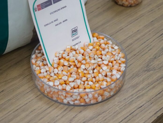 Perú liderará la reunión internacional sobre biodiversidad agrícola del TIRFAA