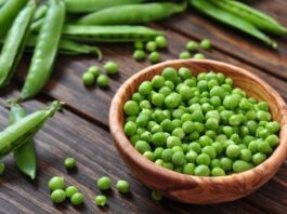 Exportaciones de arveja peruana crecen en volumen, pero enfrentan baja de precios en 2025 Exportaciones de arveja peruana crecen en volumen, pero enfrentan baja de precios en 2025