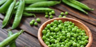 Exportaciones de arveja peruana crecen en volumen, pero enfrentan baja de precios en 2025 Exportaciones de arveja peruana crecen en volumen, pero enfrentan baja de precios en 2025