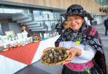 Feria y festival FIMACA 2025 promoverán innovación y comercialización de la maca andina Feria y festival FIMACA 2025 promoverán innovación y comercialización de la maca andina