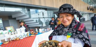 Feria y festival FIMACA 2025 promoverán innovación y comercialización de la maca andina Feria y festival FIMACA 2025 promoverán innovación y comercialización de la maca andina