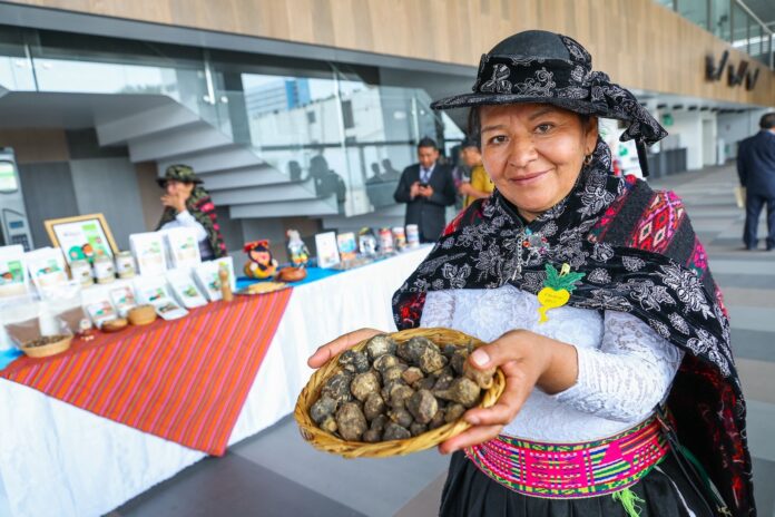 Feria y festival FIMACA 2025 promoverán innovación y comercialización de la maca andina Feria y festival FIMACA 2025 promoverán innovación y comercialización de la maca andina
