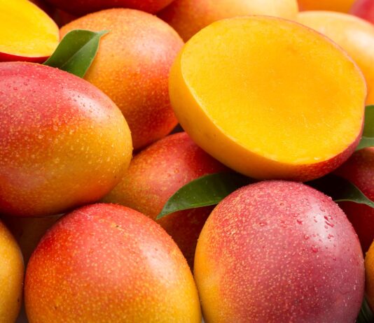 Productores de mango denuncian caída de precios y posible concertación en la campaña 2025-2026 Productores de mango denuncian caída de precios y posible concertación en la campaña 2025-2026