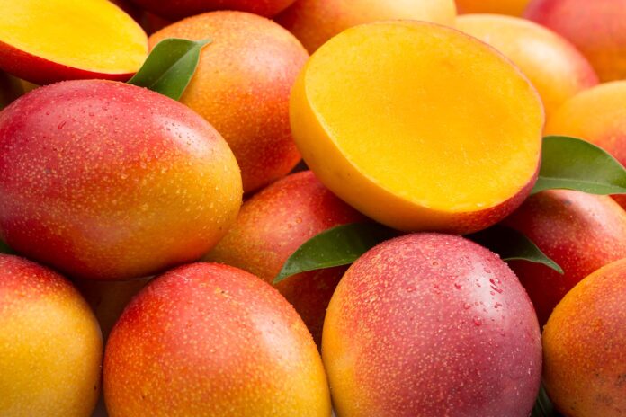 Productores de mango denuncian caída de precios y posible concertación en la campaña 2025-2026