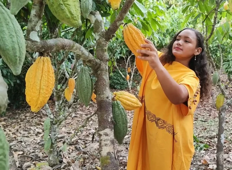 Del cultivo a la barra: así se produce en Satipo el cacao que ganó el premio al Mejor Chocolate del Mundo 2025