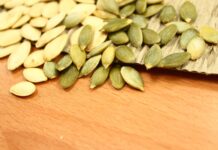 Empresas del rubro semillas solicitan modernizar normas de importación ante cambios del mercado global Empresas del rubro semillas solicitan modernizar normas de importación ante cambios del mercado global