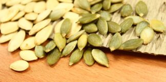 Empresas del rubro semillas solicitan modernizar normas de importación ante cambios del mercado global Empresas del rubro semillas solicitan modernizar normas de importación ante cambios del mercado global