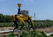 Perros robots revolucionan la agricultura peruana con tecnología inteligente Perros robots revolucionan la agricultura peruana con tecnología inteligente
