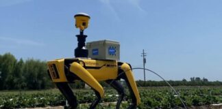Perros robots revolucionan la agricultura peruana con tecnología inteligente Perros robots revolucionan la agricultura peruana con tecnología inteligente