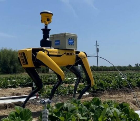 Perros robots revolucionan la agricultura peruana con tecnología inteligente Perros robots revolucionan la agricultura peruana con tecnología inteligente