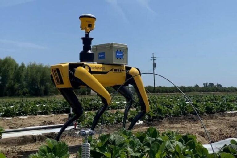 Perros robots revolucionan la agricultura peruana con tecnología inteligente