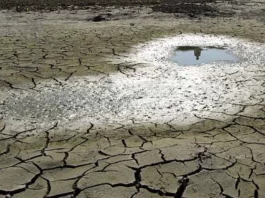 ISPI es presentado para mejorar la prevención de sequías en el Perú ISPI es presentado para mejorar la prevención de sequías en el Perú
