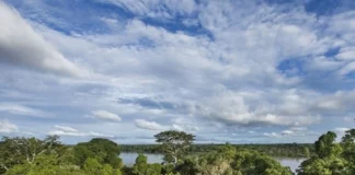 Reducción de la deforestación en el Perú es confirmada por Serfor Reducción de la deforestación en el Perú es confirmada por Serfor