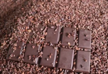 Exportaciones de chocolate peruano superan los 62 millones de dólares Exportaciones de chocolate peruano superan los 62 millones de dólares