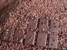 Exportaciones de chocolate peruano superan los 62 millones de dólares Exportaciones de chocolate peruano superan los 62 millones de dólares