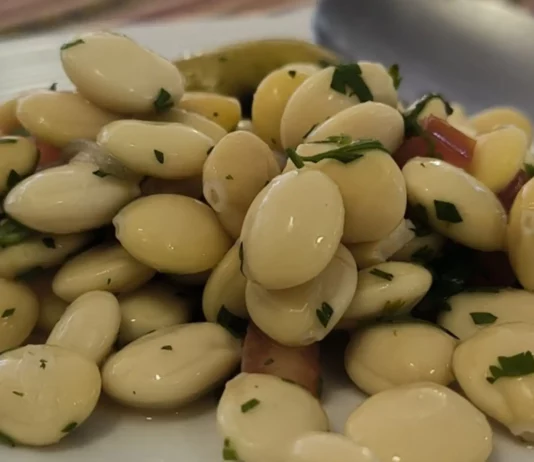 Chocho o tarwi el superalimento andino con alto valor nutricional Chocho o tarwi el superalimento andino con alto valor nutricional