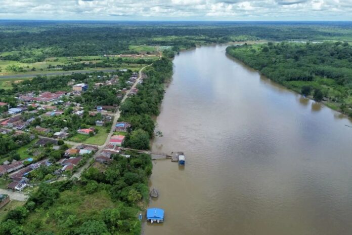 Proyecto de reforestación del Ceplan busca recuperar tres millones de hectáreas