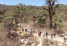 Regiones del norte implementan medidas para proteger el bosque seco Regiones del norte implementan medidas para proteger el bosque seco