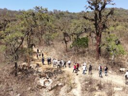 Regiones del norte implementan medidas para proteger el bosque seco Regiones del norte implementan medidas para proteger el bosque seco