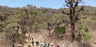 Regiones del norte implementan medidas para proteger el bosque seco Regiones del norte implementan medidas para proteger el bosque seco