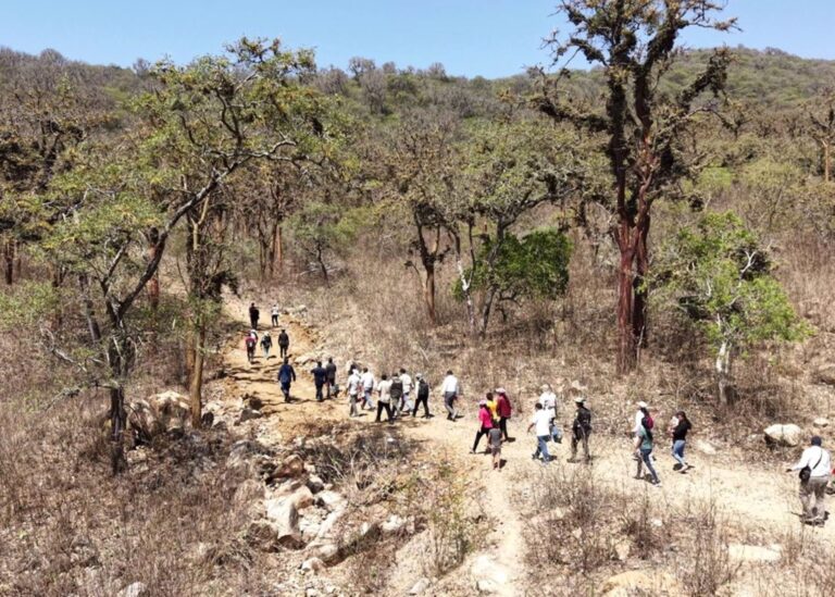 Regiones del norte implementan medidas para proteger el bosque seco