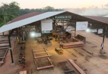 Producción de madera en Perú superó los 2 millones de metros cúbicos en el 2025 Producción de madera en Perú superó los 2 millones de metros cúbicos en 2025