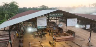 Producción de madera en Perú superó los 2 millones de metros cúbicos en el 2025 Producción de madera en Perú superó los 2 millones de metros cúbicos en 2025