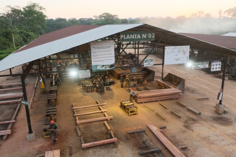Producción de madera en Perú superó los 2 millones de metros cúbicos en 2025