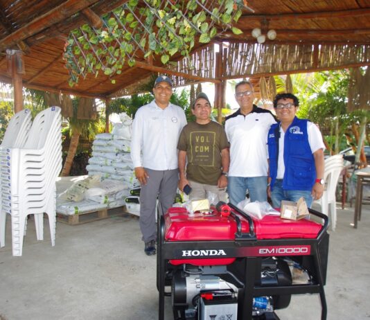 Procompite Piura impulsa producción de banano orgánico en Huangalá Procompite Piura impulsa producción de banano orgánico en Huangalá