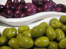 Exportaciones de aceituna peruana registran aumento durante el 2025 Exportaciones de aceituna peruana registran aumento durante el 2025