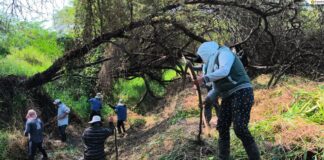 Infraestructura hidráulica en Piura recibe inversión de 2.5 millones Infraestructura hidráulica en Piura recibe inversión de 2.5 millones