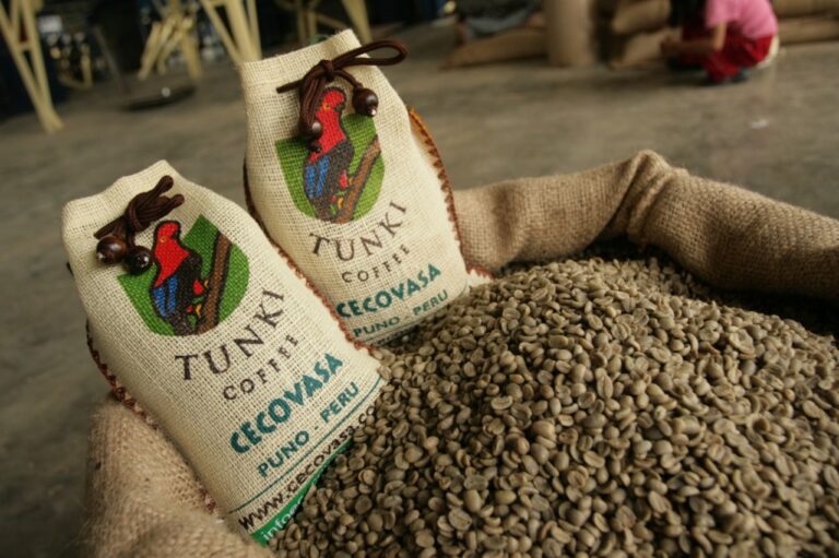 Pequeños productores consolidan exportaciones de café peruano durante el 2025