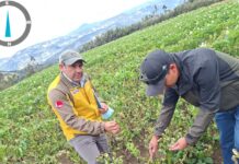 Daños por intensas heladas en Huancabamba son evaluados por el GORE Piura Daños por intensas heladas en Huancabamba son evaluados por el GORE Piura