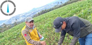 Daños por intensas heladas en Huancabamba son evaluados por el GORE Piura Daños por intensas heladas en Huancabamba son evaluados por el GORE Piura